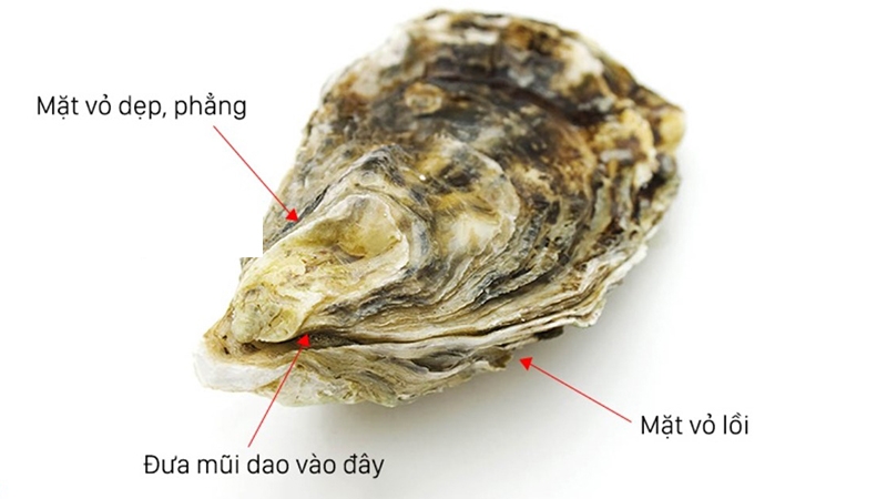 Nướng hàu bằng lò vi sóng bước 1