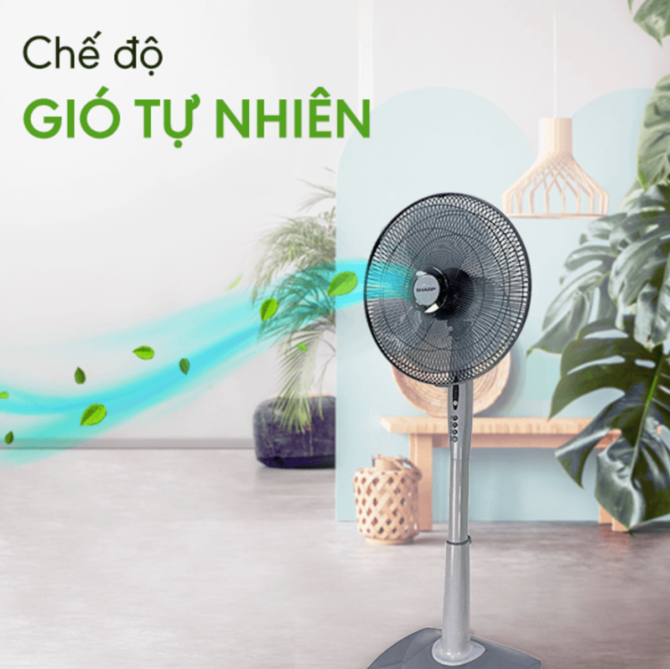 quạt cây loại nào tốt