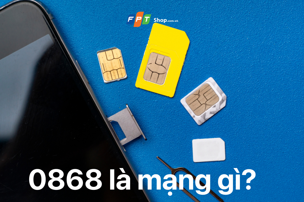 Đầu số 0868 là mạng gì? (Ảnh 1)