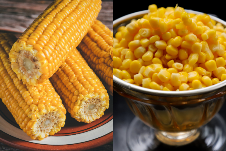 Cách làm sữa ngô bằng máy ép chậm (Ảnh 3)