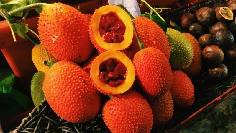 cách nấu xôi gấc bằng lò vi sóng hình 1