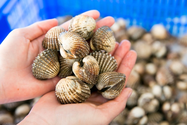 sò huyết nướng bằng lò vi sóng hình 1