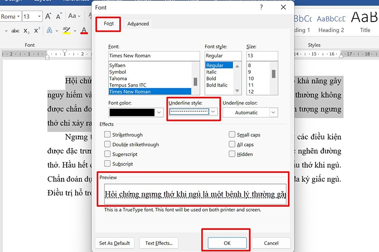 Chia sẻ 3 cách gạch chân trong Word đơn giản (hình 12)
