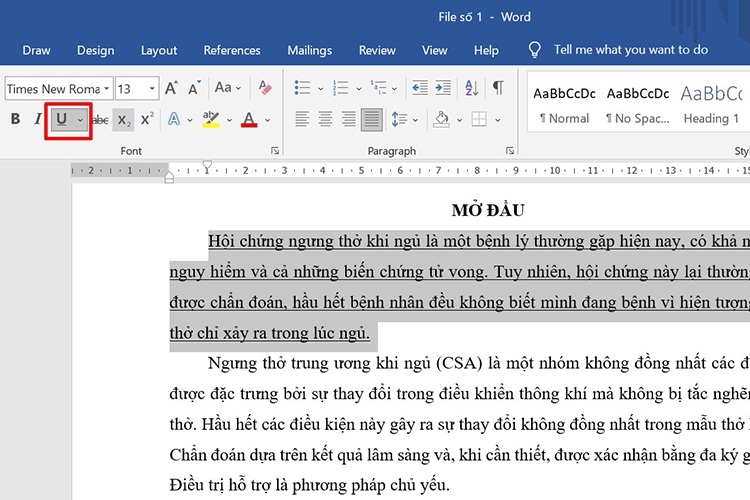 Chia sẻ 3 cách gạch chân trong Word đơn giản (hình 16)