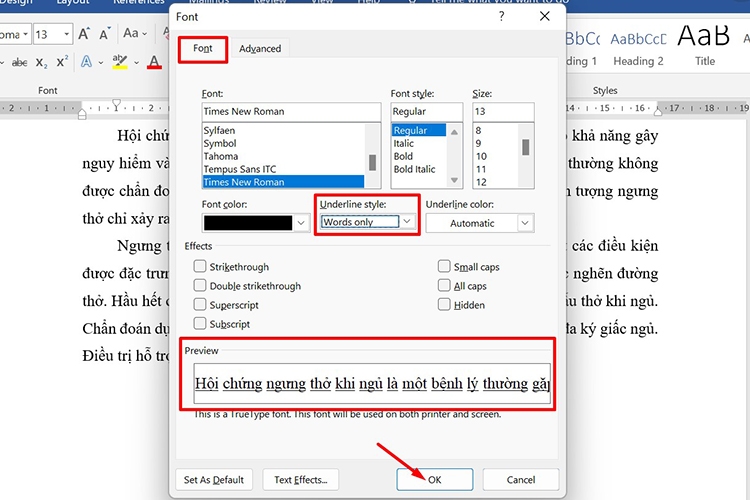 Chia sẻ 3 cách gạch chân trong Word đơn giản (hình 5)