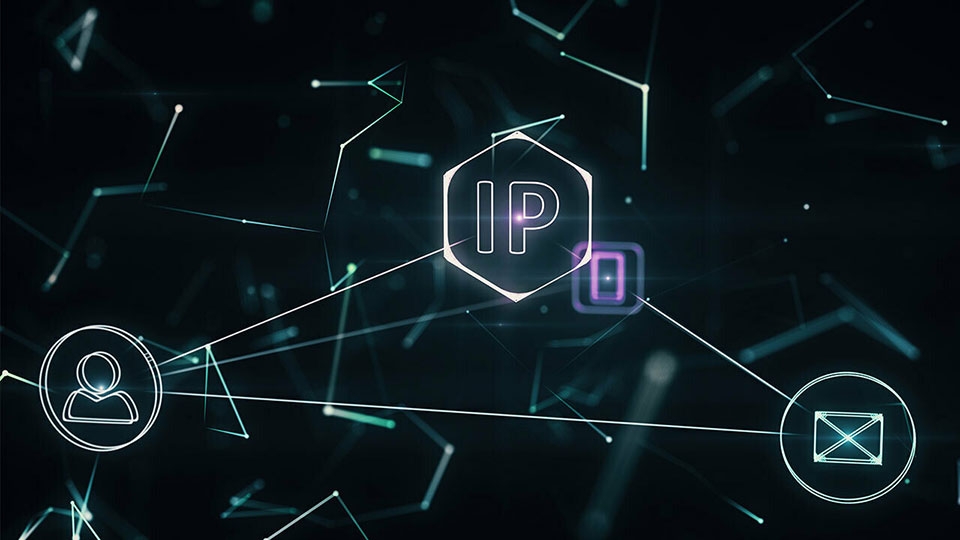 Website có địa chỉ IP không?