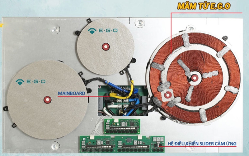 Mâm từ E.G.O trên bếp từ là gì (Ảnh 3)