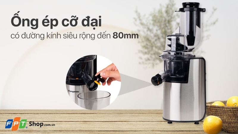 Máy ép chậm Kangaroo loại nào tốt (Ảnh 3)