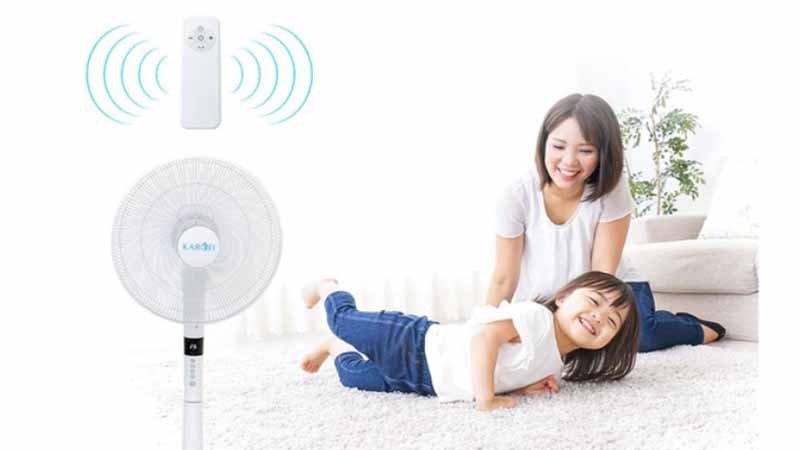 Gợi ý những mẫu quạt cây đẹp (Ảnh 2)