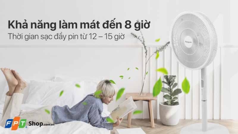 Gợi ý những mẫu quạt cây đẹp (Ảnh 4)