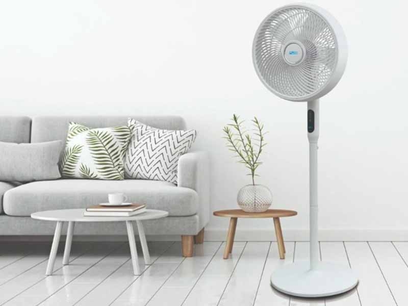 Gợi ý những mẫu quạt cây đẹp (Ảnh 5)