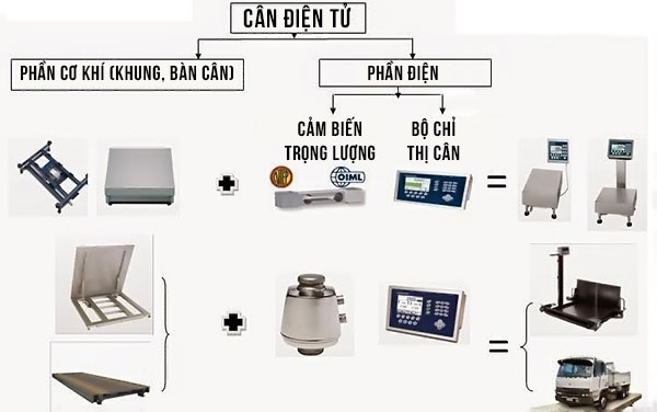 Cấu tạo cân điện tử, nguyên lý hoạt động có thể bạn chưa biết