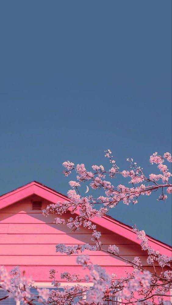 Chia sẻ 30+ hình nền màu hồng đẹp, dễ thương cho điện thoại