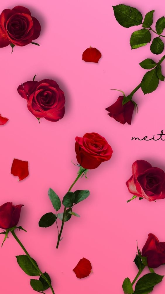 Chia sẻ 30+ hình nền màu hồng đẹp, dễ thương cho điện thoại