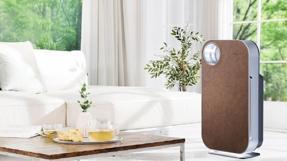 Thiết kế Coway AP-1008DH