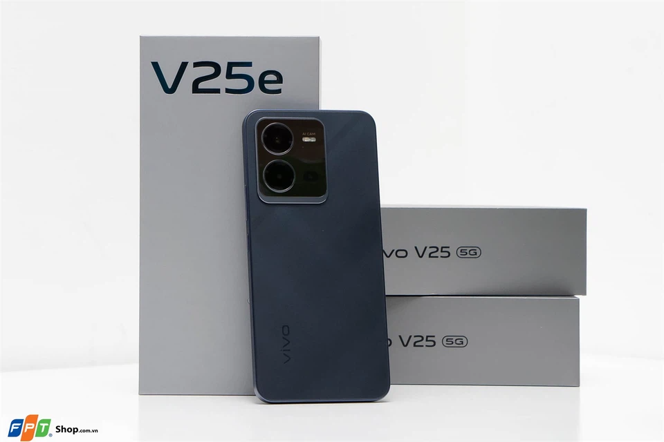 Vivo V25e