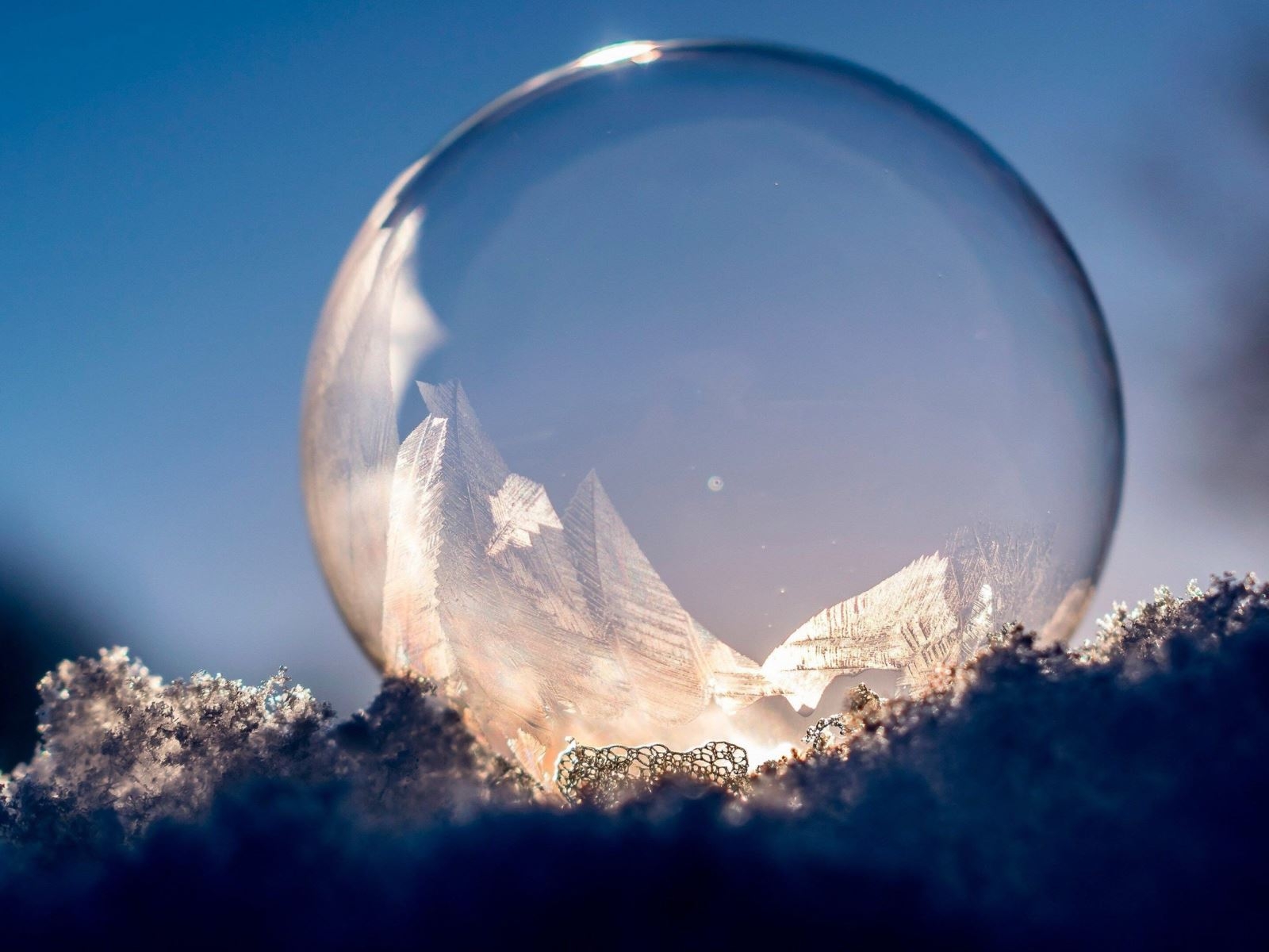 65+ Hình nền iPad độc đáo 4K - Biến iPad của bạn thành một tác phẩm nghệ thuật!