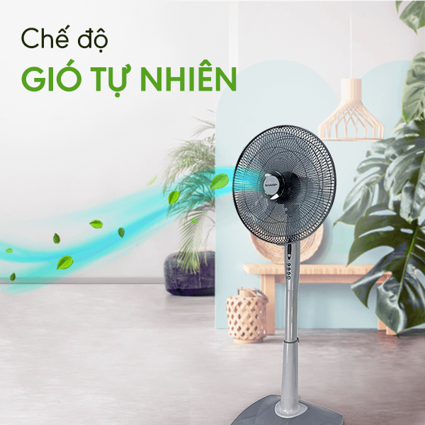 Top 10 quạt cây đứng được ưa chuộng nhất 2023