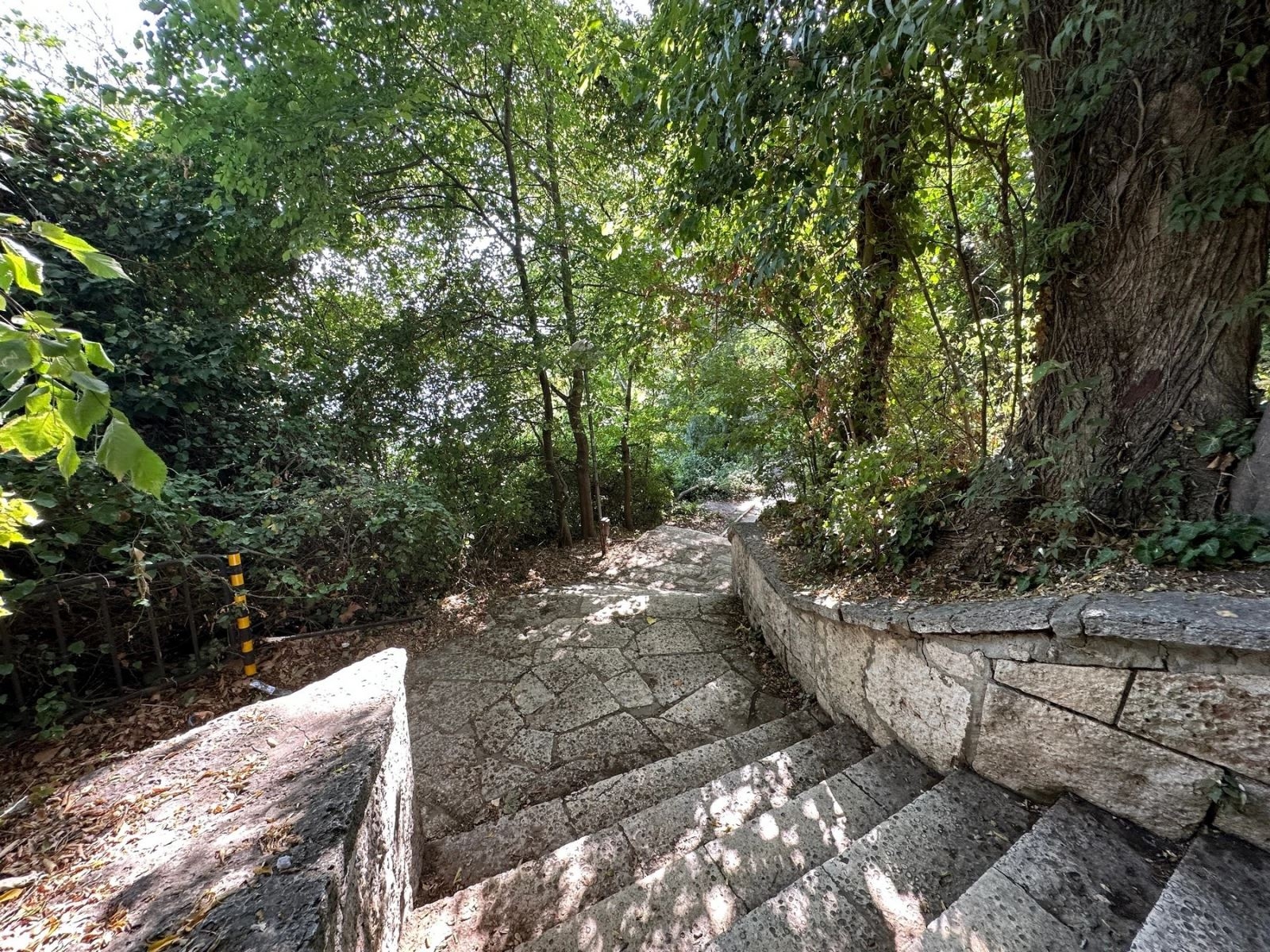 Đánh giá camera iPhone 14 Pro Max