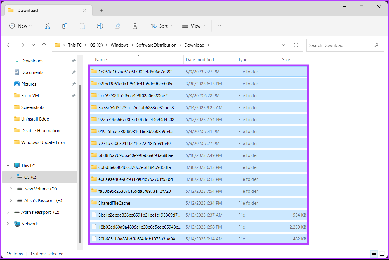 Lỗi cập nhật 0x80248007 trên Windows 11 và cách khắc phục (8)