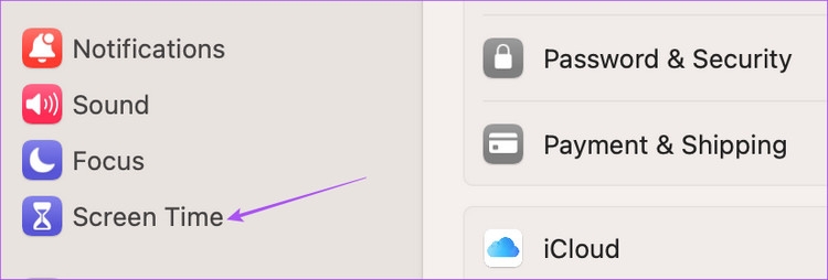 Mẹo sửa lỗi Siri không hoạt động trên máy Mac (11)