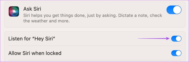 Mẹo sửa lỗi Siri không hoạt động trên máy Mac (6)