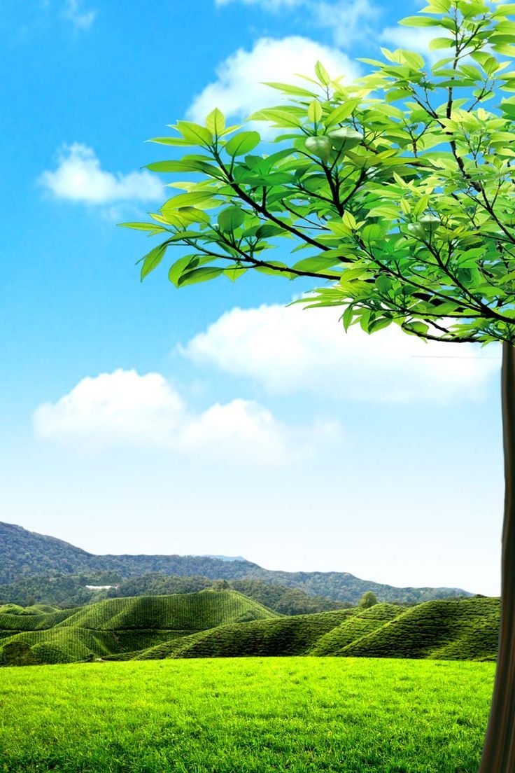 Chia sẻ hơn 30+ hình nền màu xanh đẹp mê hồn mà bạn không thể bỏ qua