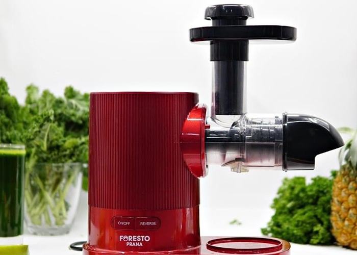 So sánh máy ép chậm trục ngang và trục đứng (Ảnh 2)