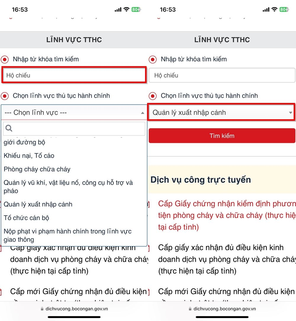 Cách trình báo mất hộ chiếu online 4