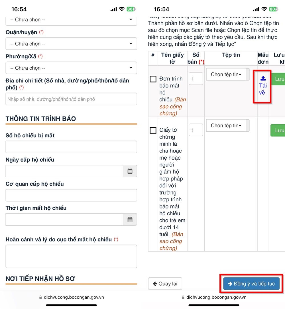 Cách trình báo mất hộ chiếu online 6
