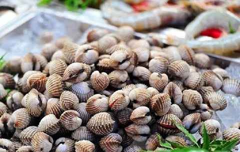 Lò vi sóng bị nổ do nấu nướng các loại hải sản có vỏ cứng