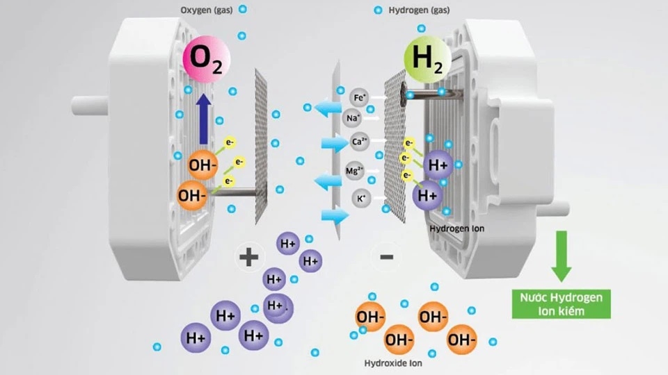 Máy lọc nước làm đẹp da (Ảnh 6)