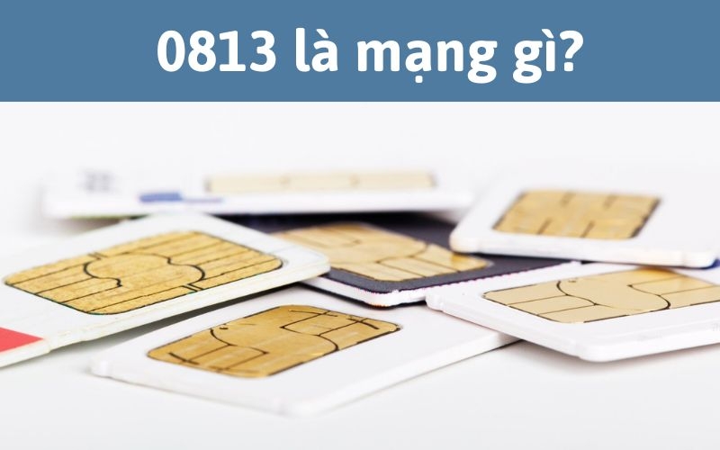 0813 là mạng gì? (Ảnh 1)