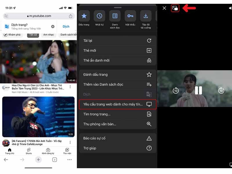 Cách vừa xem Youtube vừa lướt web trên iPhone (Ảnh 3)
