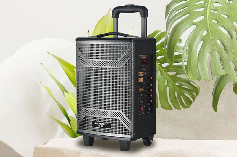 Top 5 loa Bluetooth công suất (Ảnh 4)
