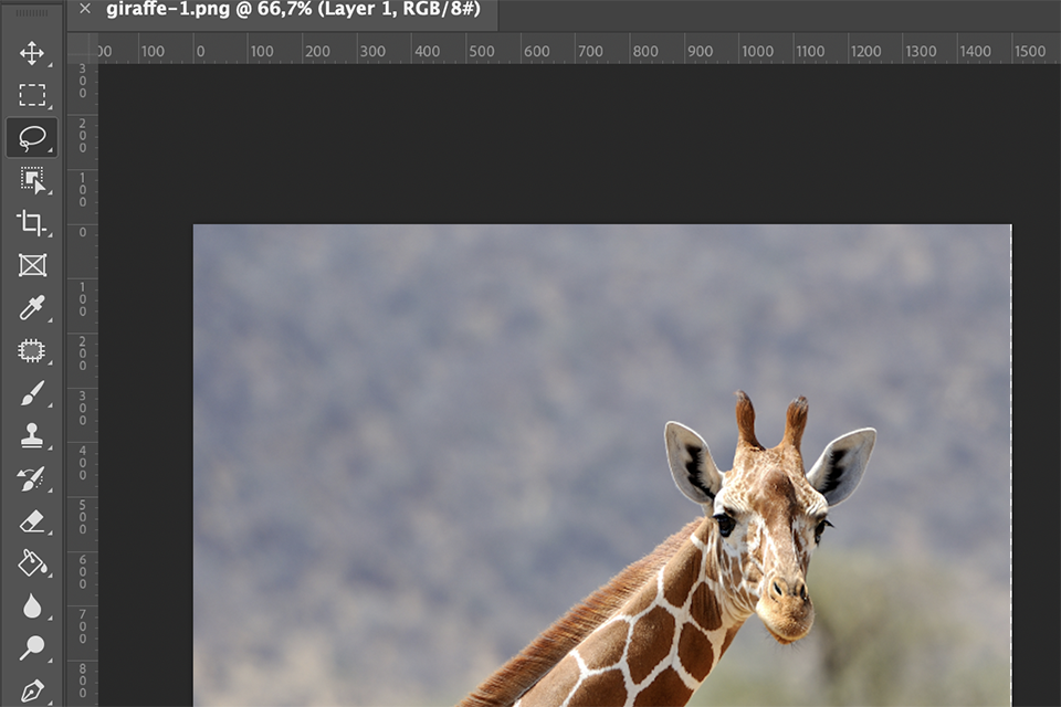 cắt ảnh trong photoshop - hình 3