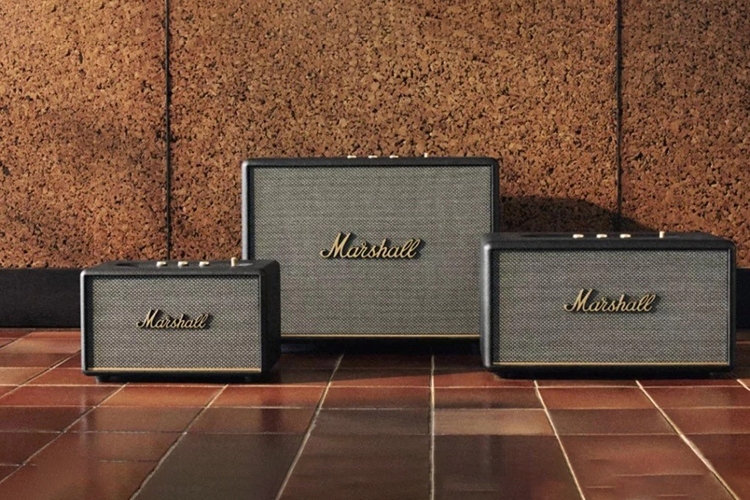 Loa Marshall của nước nào? (Hình 2)