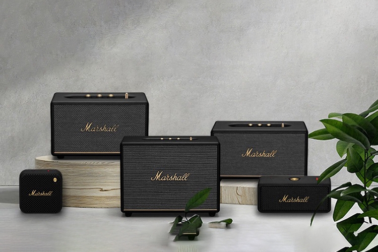 Loa Marshall của nước nào? (Hình 3)