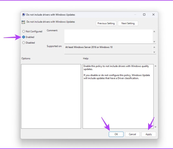 Nên tắt cập nhật trình điều khiển tự động trên Windows 11 (6)