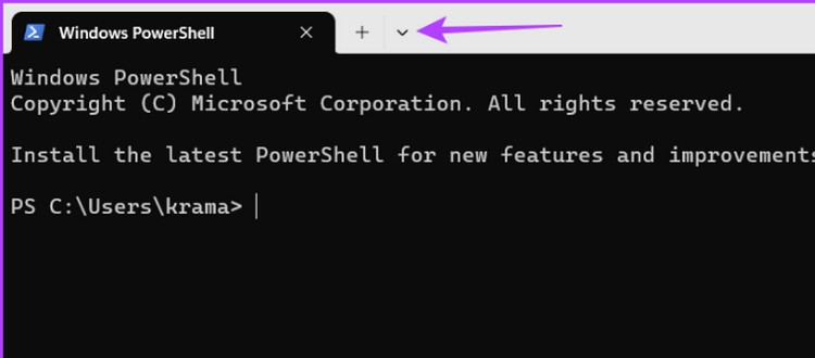 Bật mí 5 cách bật hoặc tắt Focus Mode trong Windows Terminal 2