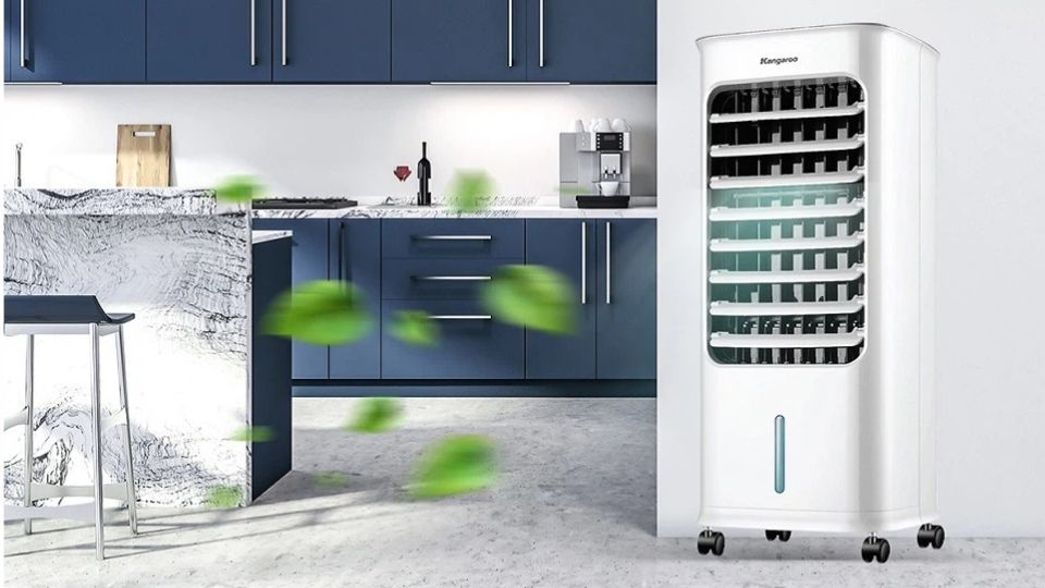 Thiết kế Kangaroo KG50F61