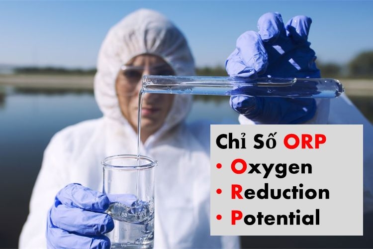 Chỉ số oxy hóa khử ORP là gì?
