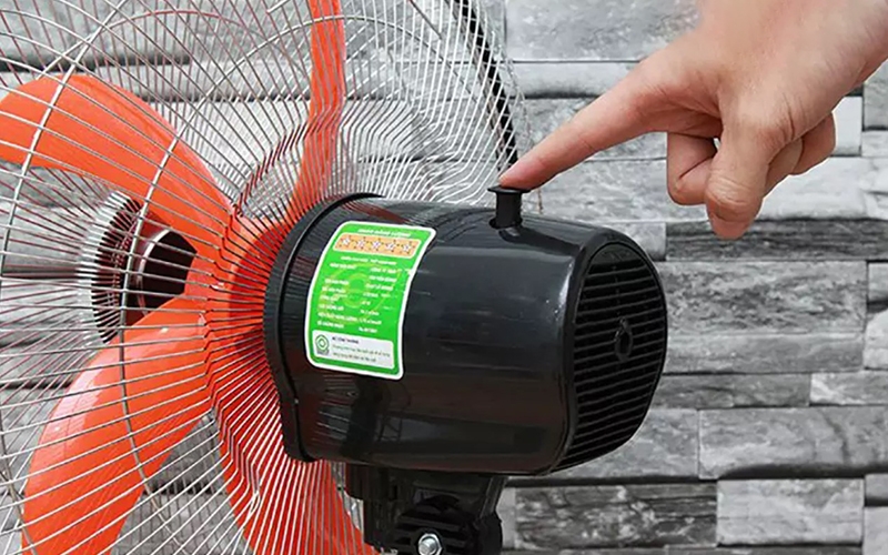 Tuốc năng quạt là gì? (Ảnh 1)