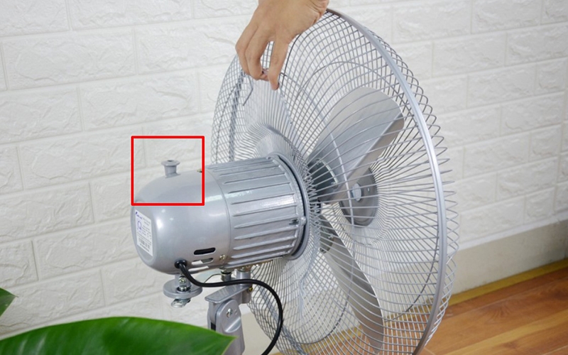 Tuốc năng quạt là gì? (Ảnh 2)