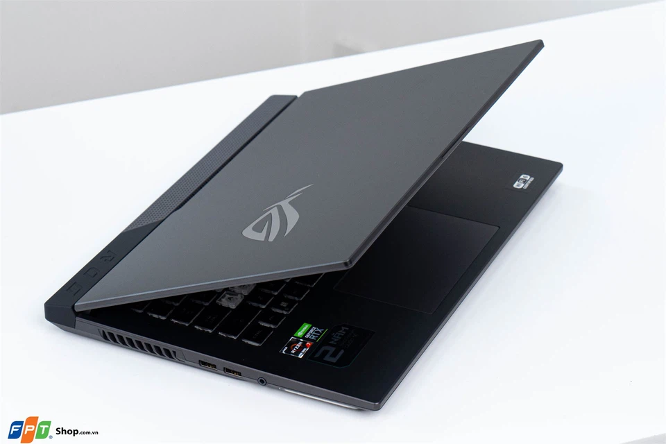 Asus Gaming ROG G513IC-HN729W