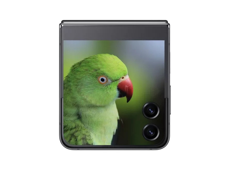 So sánh Galaxy Z Flip5 và Z Flip4 (ảnh 6)
