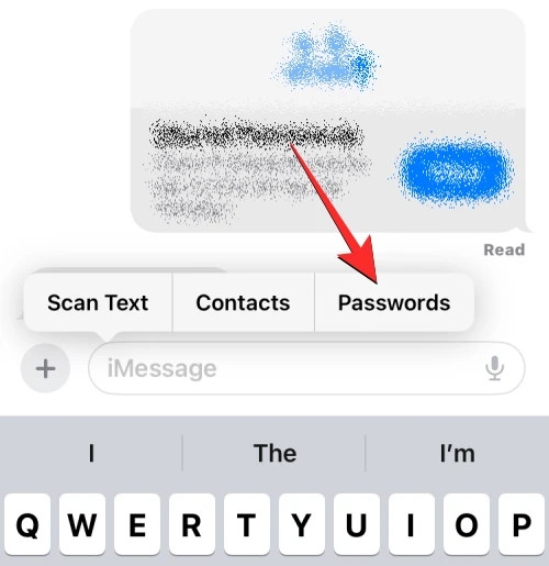 Mách bạn chèn danh bạ và mật khẩu vào tin nhắn trên iOS 17 (13)