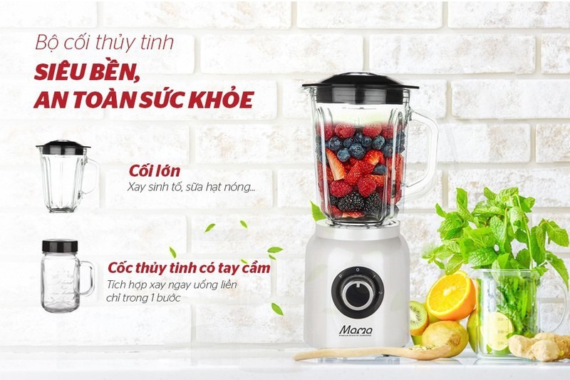 TOP 5 máy xay sinh tố cối thủy tinh đẹp (Ảnh 1)