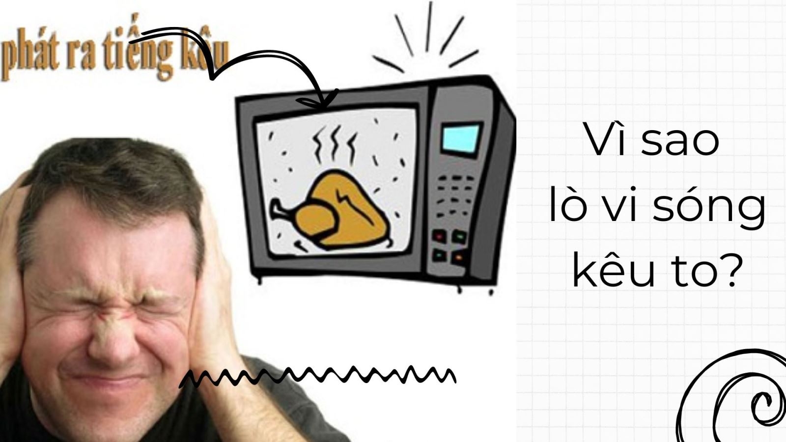 Nguyên nhân lò vi sóng kêu to