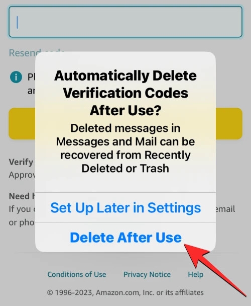 Mách bạn cách tự động xóa mã xác minh trên iOS 17 (6)